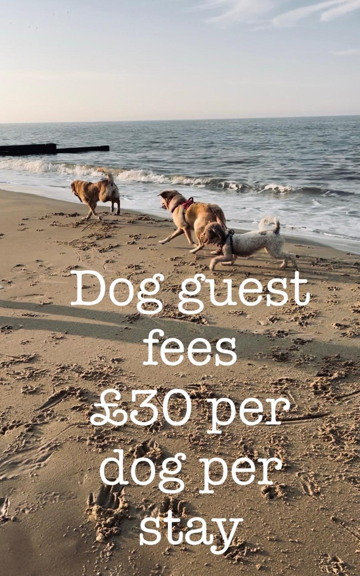 Вілла Coastal Terrace Dogs Welcome Optional Hot Tub Sea Palling Екстер'єр фото